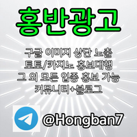<홍반광고> 구글이미지홍보하기 | 구글이미지광고 | 이미지광고대행사 | 토토광고대행 #감보아
