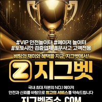 지그벳 먹튀안전: V.O.C.A 라이센스 취득 카지노 #김태연