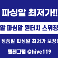 카지노파싱 슬롯파싱 분양 텔레@hive119