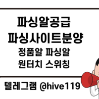 카지노파싱 슬롯파싱 텔레 @hive119 최저가 보장