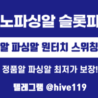 카지노파싱 슬롯파싱 최저가 보장 텔레 @hive119