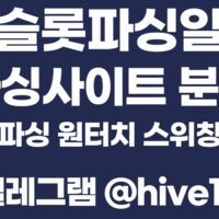 카지노파싱 슬롯파싱 텔레 @hive119 최저가 보장