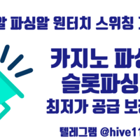 파싱알 파싱사이트 최저가공급 텔레@hive119